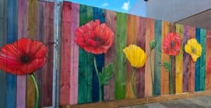 Welsh and Common Poppies , Street Art, Graffiti Mural